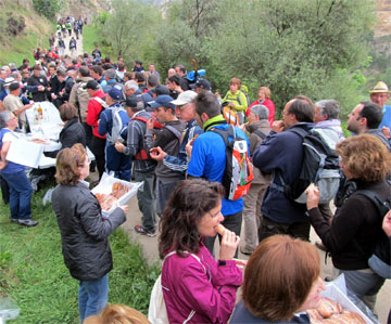 Més de 1000 persones ixen de Vallibona cap a Pena-roja complint la tradició que es repeteix cada set anys