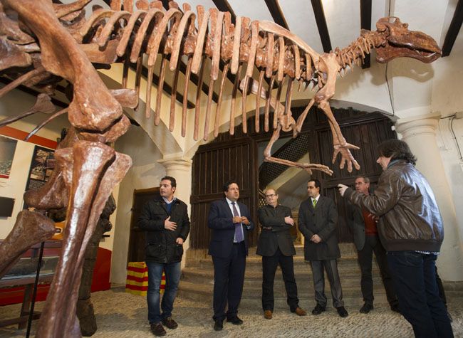 Els dinosaures dels Ports, oblidats un any després