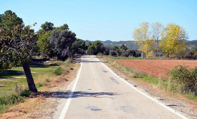 La Diputació adjudique la primera fase de la carretera de Torredarques