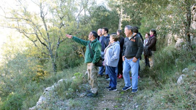Vallibona dona a conèixer la ruta botànica